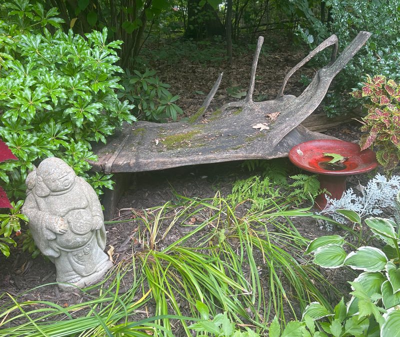 A Bench Story from a Reader