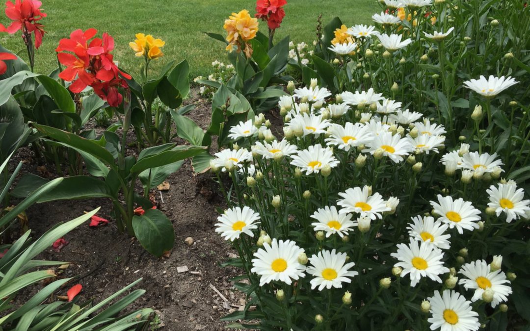 Influence of Gardeners