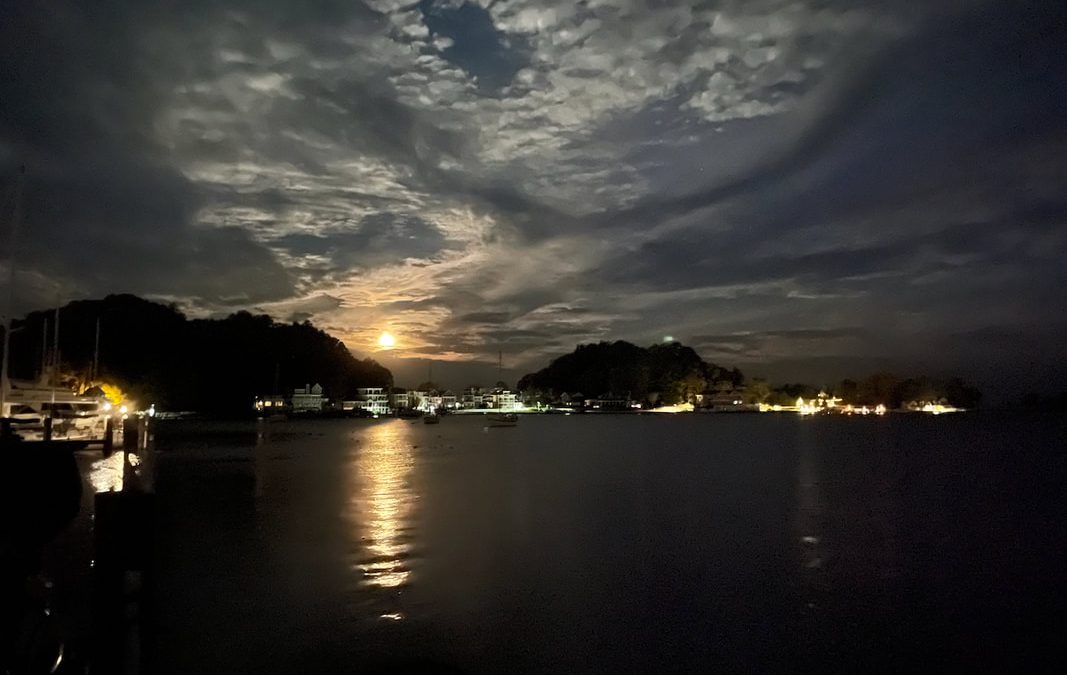 ‘I Just Want to See the Sky’