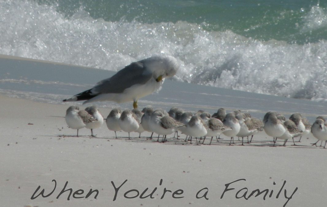 The Meaning of Family