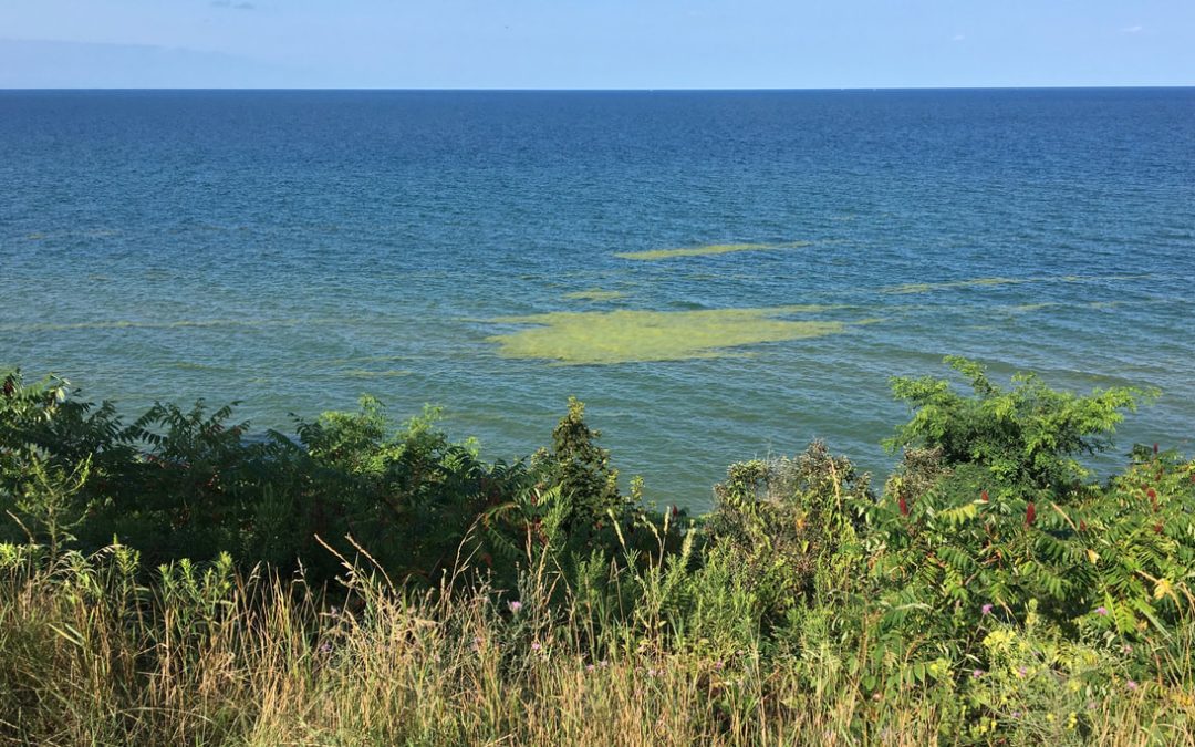 Is Green the New Blue?