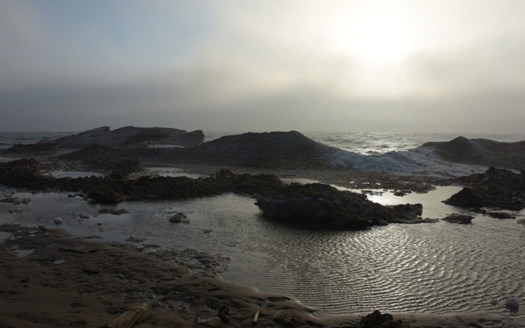 Finding the Light in the Fog