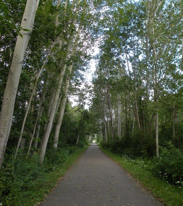 August Skosh: Thinking About Goals Along the Betsie Valley Trail