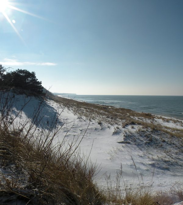 Did I Tell You I Believe in Angels?