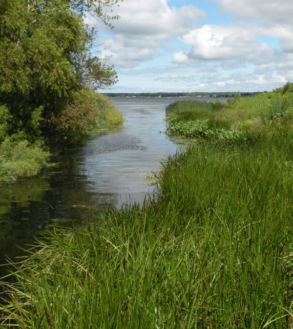 The McKSchmidt Questions