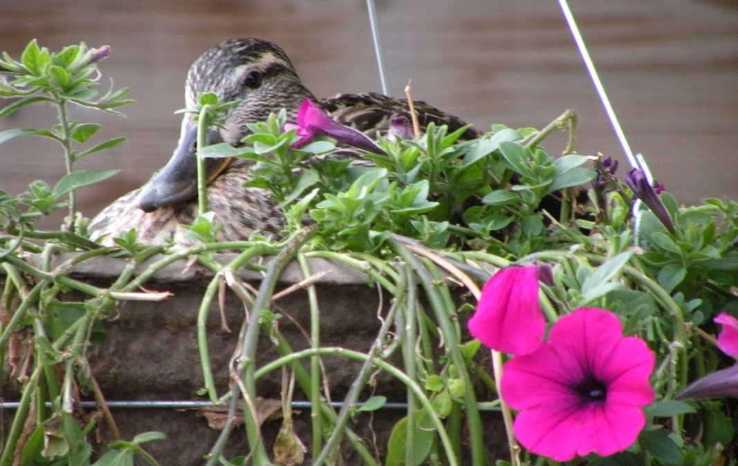 I Needed Math and English