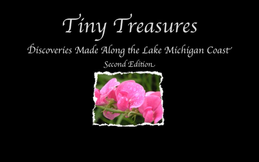 A Note from My Sponsor . . .