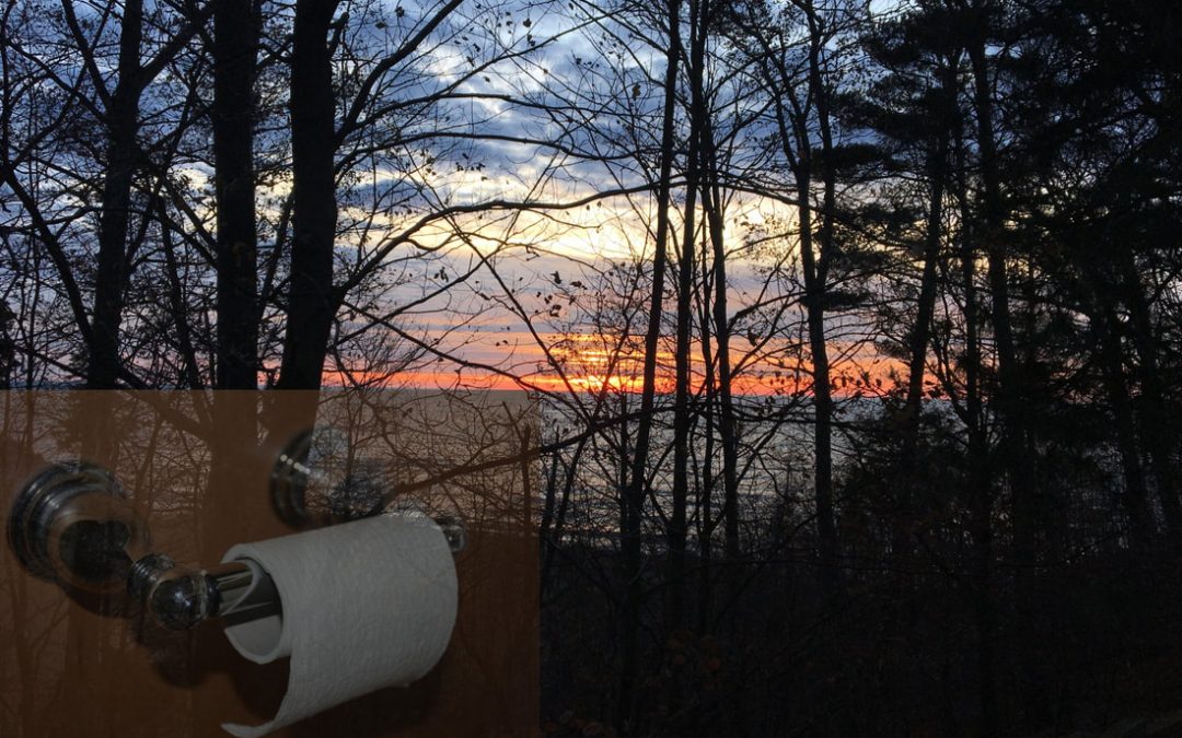 Why Toilet Paper?