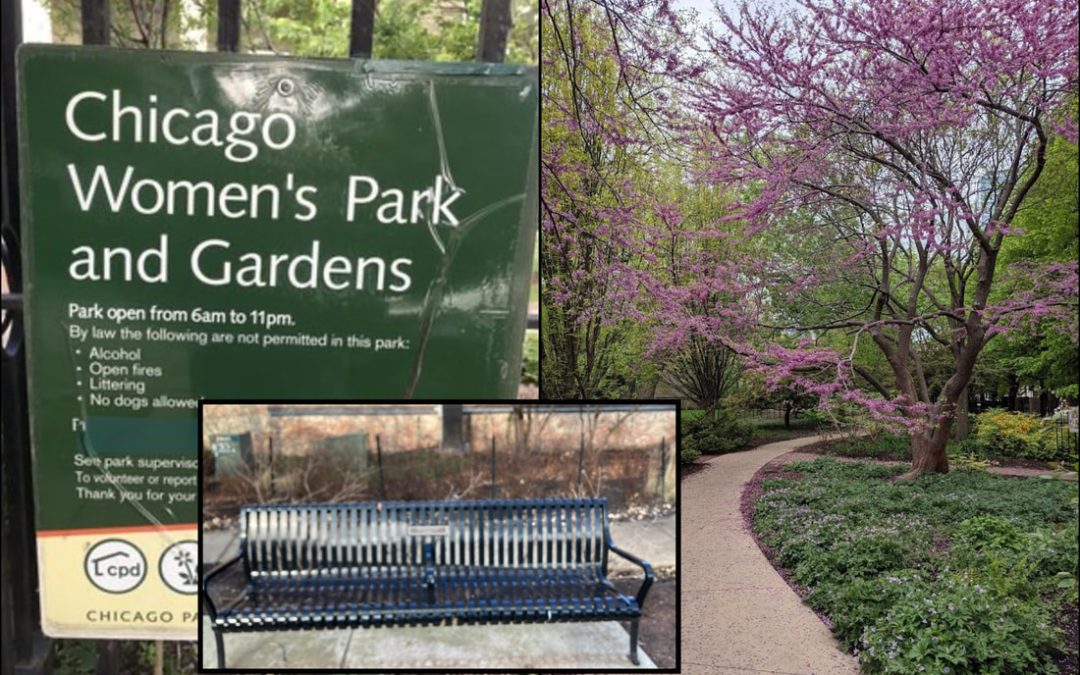 A Bench Story from a Reader