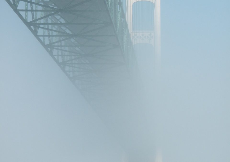 Seven Months, Fifteen Days